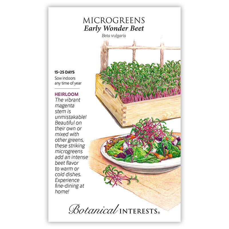 Seed packet illustration for Early Wonder Beet microgreens showing a wooden tray densely filled with magenta-stemmed green sprouts beside a garden salad topped with the same microgreens, with printed text noting a 15-25 day heirloom variety sown indoors year-round.