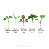 Diagram illustrating the five microgreen seedling varieties in the Jazzy Mix blend, each labeled with name and percentage: Mustard Sawtooth and Cress Peppergrass at 30% each with slender green leaves, Cabbage Red Acre and Mustard Red Giant at 15% each showing broader reddish-tinged and green leaves, and Radish China Rose at 10% with small rounded leaves on a purple stem.