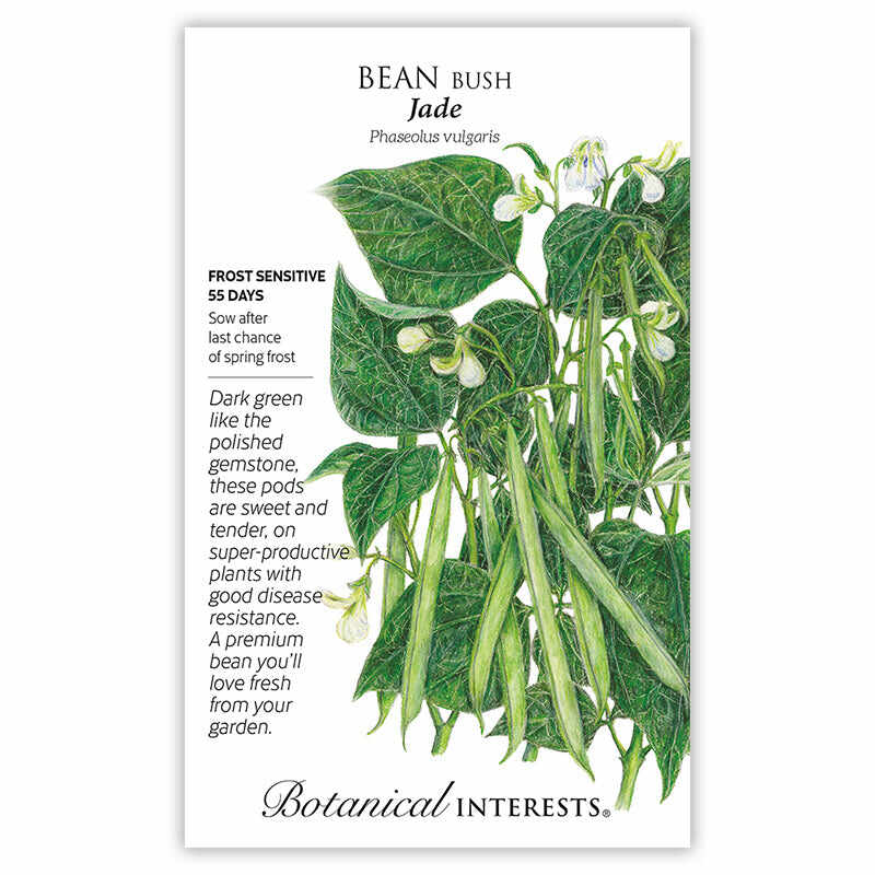 Seed packet for Jade Bush Bean Seeds featuring plant details and a botanical illustration of slender green bean pods with white blossoms and green leaves.