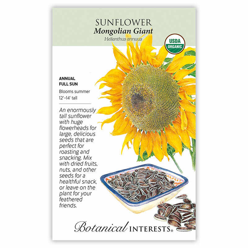 Front of an organic Botanical Interests seed packet for Mongolian Giant Sunflower Seeds featuring a USDA Organic seal and botanical illustrations of a massive yellow sunflower bloom and a bowl of sunflower seeds.