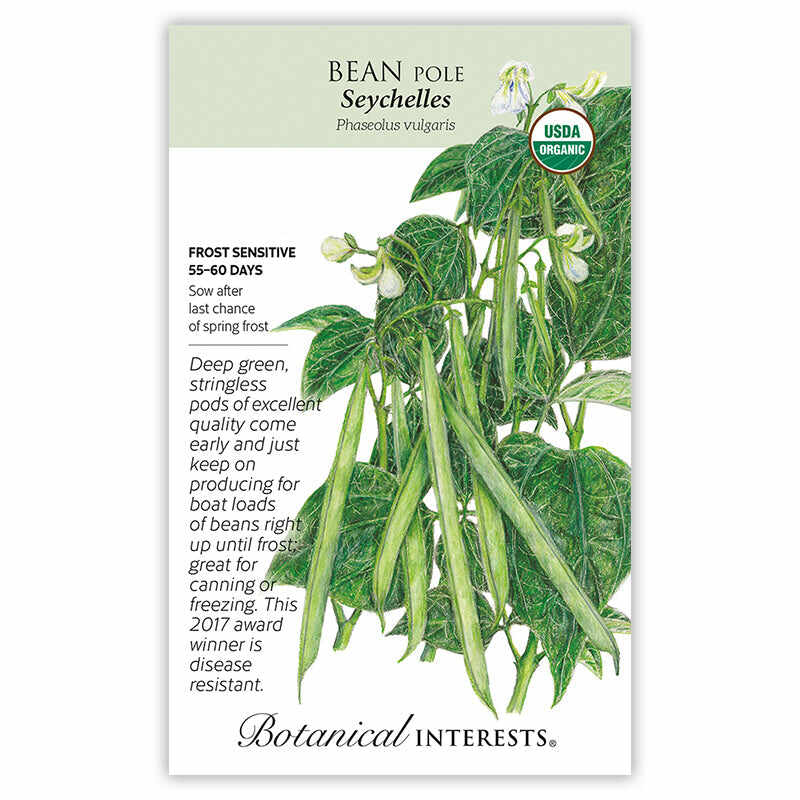 Seed packet for Seychelles Pole Bean featuring a USDA Organic seal and a botanical illustration of climbing vines with white flowers and long, slender green pods, alongside printed text noting frost sensitivity, a 55–60 day maturity, and a description of the deep green, stringless, disease-resistant pods.