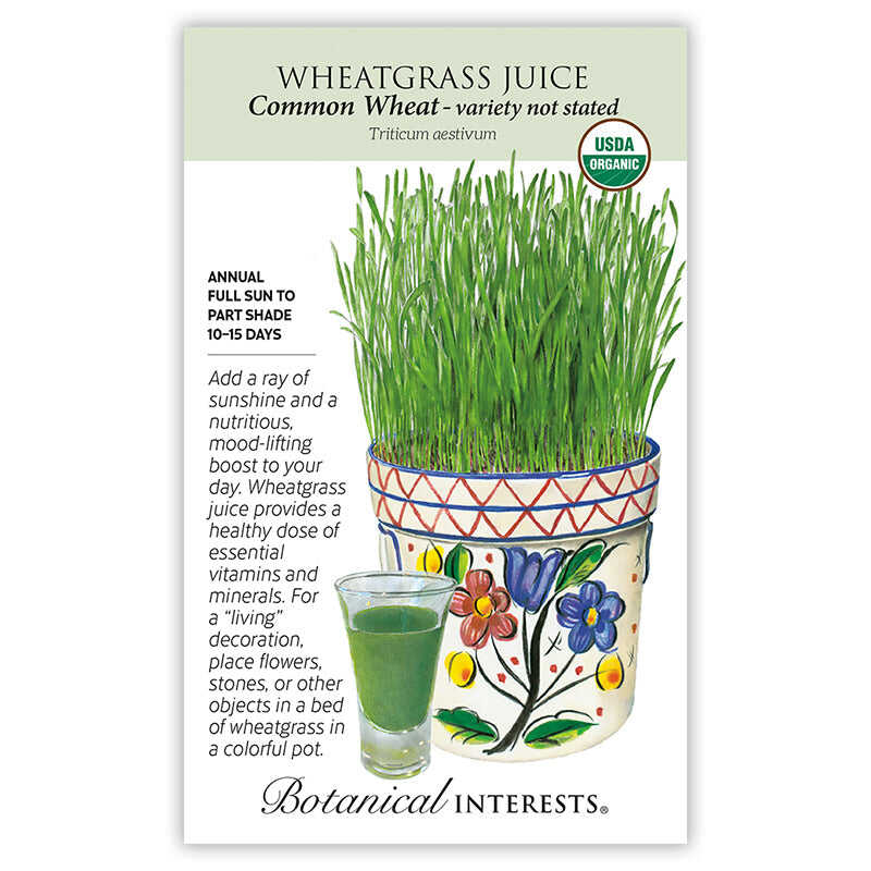 Wheatgrass juice seed packet with a pot of wheatgrass and a glass of juice, with botanical information.