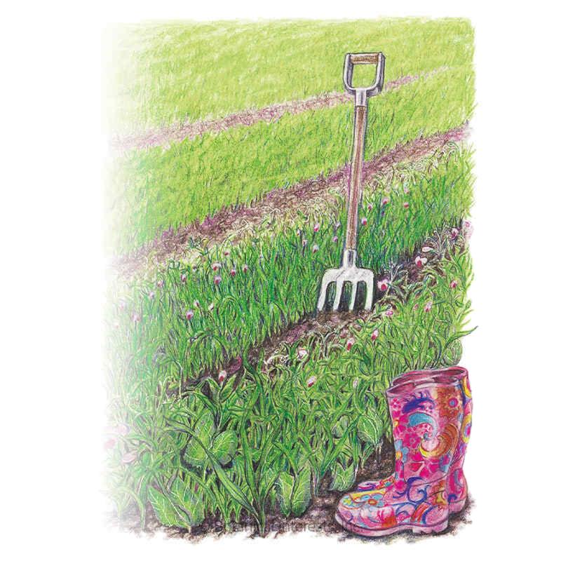 Coloured illustration of a flowering pea and oats cover crop growing thickly along a garden row, with a garden fork planted in the soil and a pair of floral patterned wellington boots resting beside the plants.