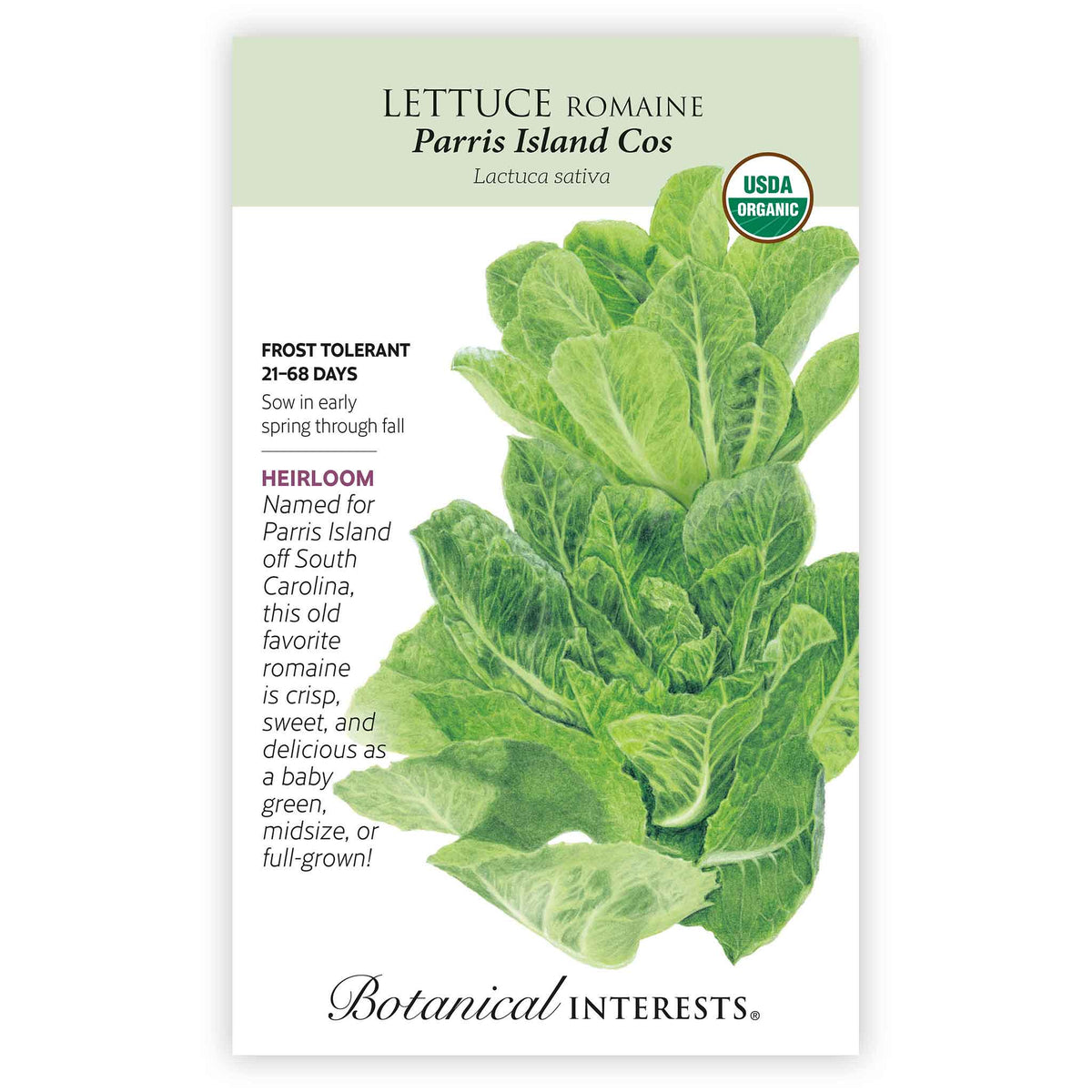 Front of an organic Botanical Interests seed packet for Heirloom Parris Island Cos Romaine Lettuce Seeds featuring a USDA Organic seal and botanical information and  illustration of upright green romaine lettuce.