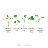Diagram showing five microgreen seedlings side by side with their blend percentages: Mustard Mizuna 25%, Broccoli 25%, Kohlrabi 20%, Bok Choy Tatsoi 15%, and Cabbage Red Acre 15%, each illustrated with distinct leaf shapes and stem colors ranging from green to reddish-pink.