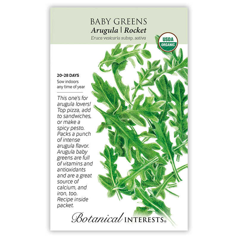 Seed packet for organic Baby Greens Arugula (Rocket), featuring a detailed illustration of deeply lobed, jagged green leaves, with printed text noting 20–28 day germination, indoor sowing instructions, and a description of its peppery flavor and nutritional benefits.