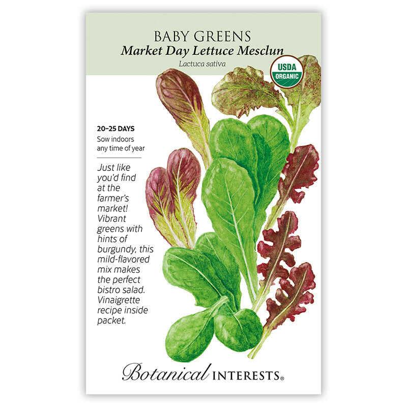 Seed packet for Botanical Interests USDA Organic Market Day Lettuce Mesclun baby greens, illustrated with an assortment of loose-leaf lettuce varieties in bright green and deep burgundy hues, alongside text noting 20-25 days to maturity, indoor sowing, and a description of the mild-flavored mix.