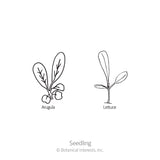 Line drawing labeled 