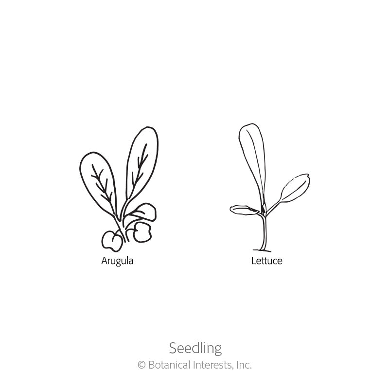 Line drawing labeled 