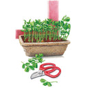 Illustration of pea shoots growing densely in a fibre-lined trough planter, with red-handled snips and freshly cut leafy shoots laid beside it, ready for harvesting as baby greens.