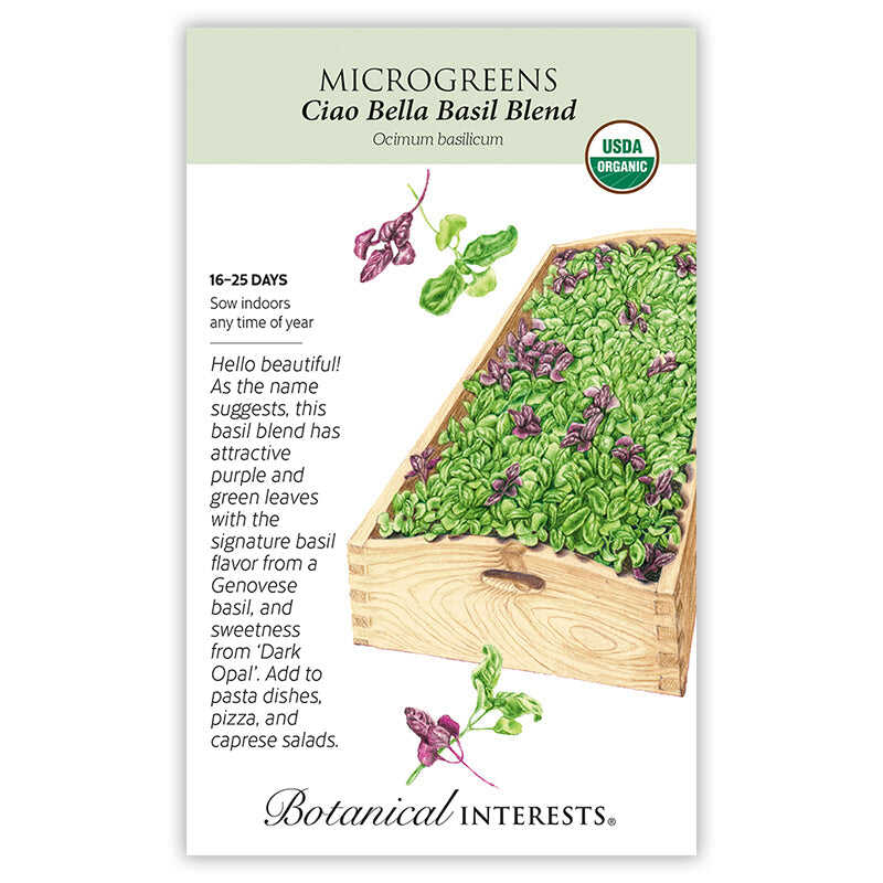 Seed packet for Botanical Interests USDA Organic Ciao Bella Basil Blend Microgreens, illustrating a wooden tray densely filled with green and purple basil microgreens, with text noting a 16–25 day growth period, indoor sowing year-round, and a description of the Genovese and 'Dark Opal' basil blend's flavor and suggested uses in pasta, pizza, and caprese salads.