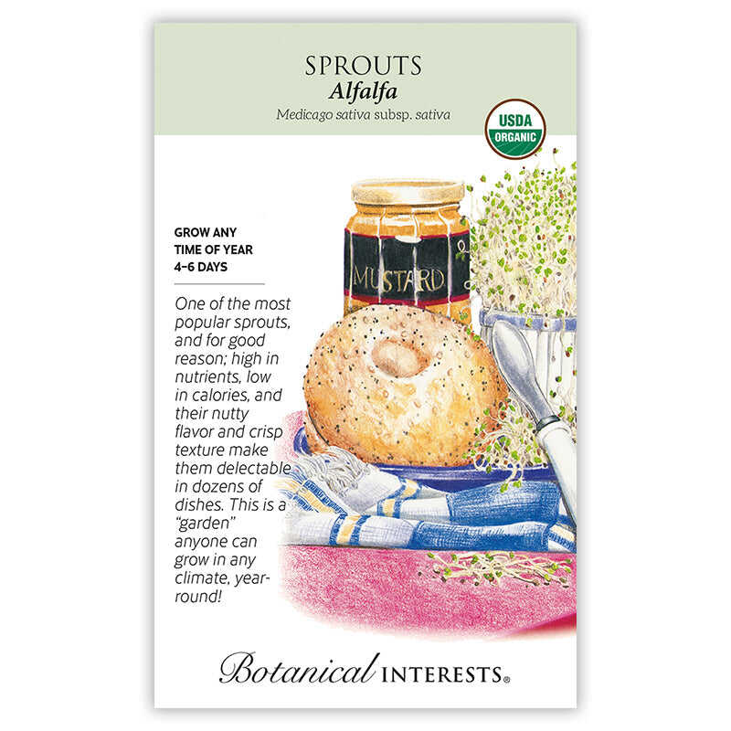 Botanical Interests organic Alfalfa Sprouts seed packet with an illustration of a jar of alfalfa sprouts alongside a poppy-seed bagel and mustard jar, plus text noting sprouts grow in 4–6 days any time of year.