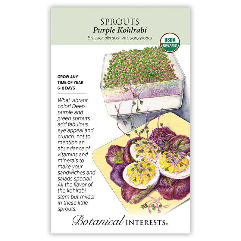 Seed packet for Purple Kohlrabi Sprouts, USDA Organic, illustrating a tray of dense purple-and-green sprouts beside deviled eggs garnished with the sprouts on purple kohlrabi leaves, with text noting a 6-8 day grow time and describing the sprouts' color, crunch, and mild kohlrabi flavor.