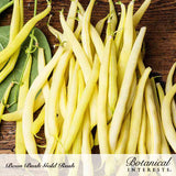 Freshly harvested yellow bush beans spread across a rustic wooden surface with the Botanical Interests logo displayed in the bottom right corner.