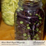 Glass mason jar filled with harvested purple and green cut bush beans on a wooden table, labeled 
