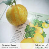 A round, yellow-orange lemon cucumber with a curled stem sits atop its Botanical Interests seed packet, which shows an illustration of the fruit on the vine and text noting it's a USDA Organic heirloom that looks like a lemon but tastes crisp and mild.