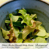 Freshly harvested tender green and red-tipped mesclun lettuce leaves served in a rustic blue ceramic bowl, labeled with 