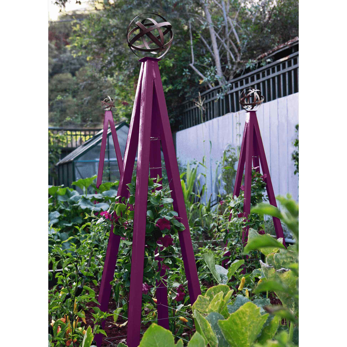 Purple pyramid-shaped metal Akoris Garden Obelisk Large trellises with bronze sphere finials set among lush green foliage and purple flowering plants