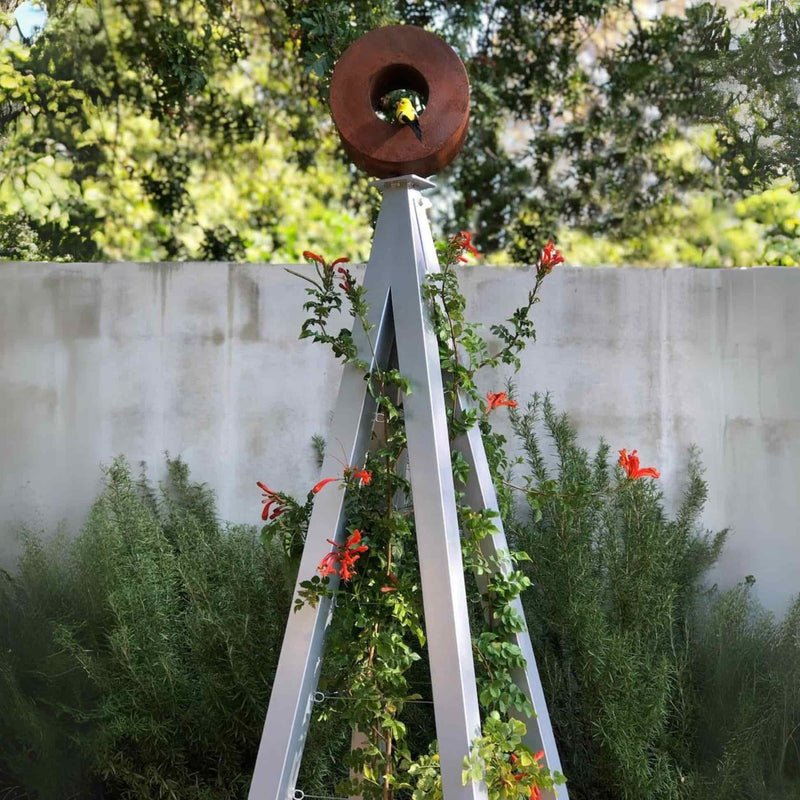 White metal A-frame Bird Cafe with Trellis surrounded by tall rosemary and flowering shrubs, set against a concrete wall