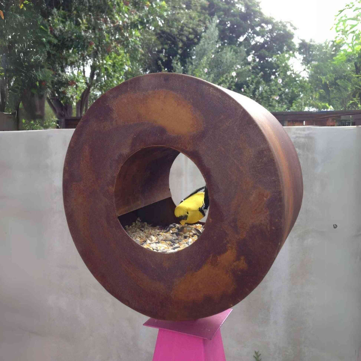 Close-up view of a yellow bird inside a rust-finished circular steel bird feeder against a light concrete wall