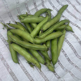 A pile of freshly picked fava bean pods, plump and pale green with dark stem ends, heaped on a woven white ground sheet.