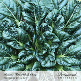 Overhead view of Rosette Tatsoi bok choy growing in a dense, low rosette of dark green, deeply crinkled leaves with pale green stems and veins, labelled with the product name and photo credit.