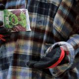 GIF of a person in gardening gloves pouring seeds from an Epic Gardening seed packet into their hand.