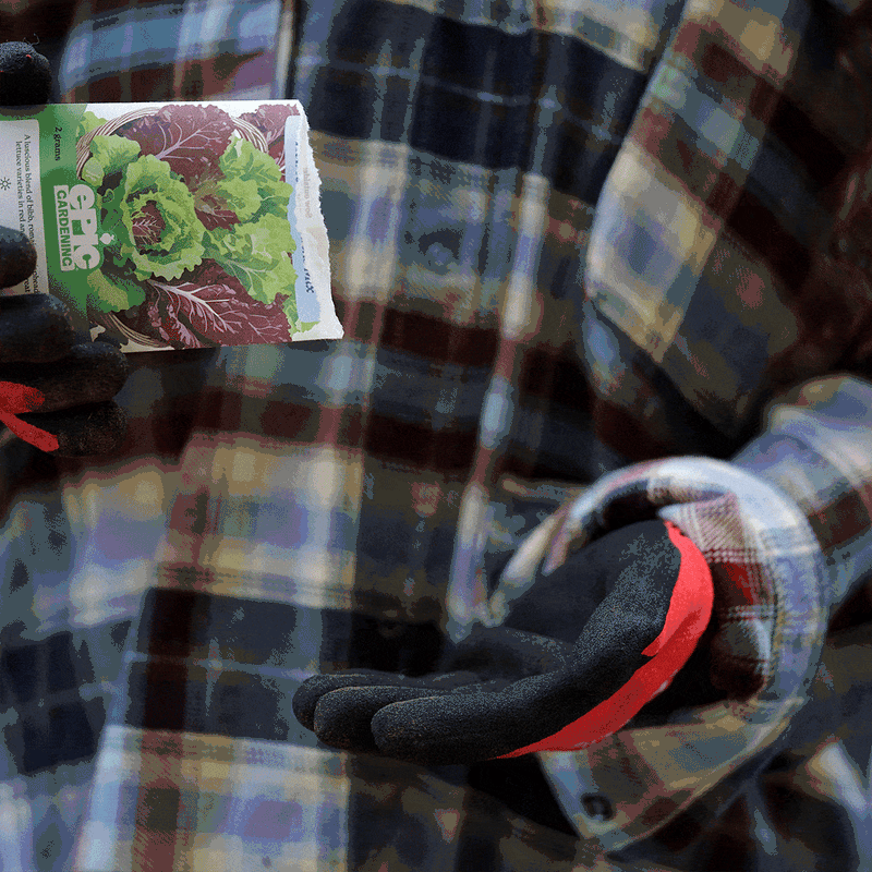 GIF of a person in gardening gloves pouring seeds from an Epic Gardening seed packet into their hand.