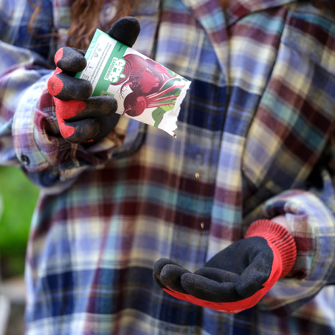 Close-up of a person wearing a plaid jacket and gardening gloves pouring seeds from an open Epic Gardening beet seed packet into their hand.