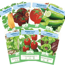Collection of Epic Gardening vegetable seed packets including Honeybaby Winter Squash, Carbon Tomato Pole, Conatiners Choice Tomato Bush, Double Yield Cucumber Pickling, Prizehead Lettuce Leaf, Mini Red Bell Pepper Sweet, and Lettuce Heirloom Garden Mix on a white background
