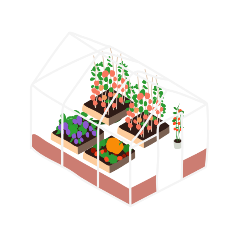 Illustration of a small greenhouse with plants inside on a white background