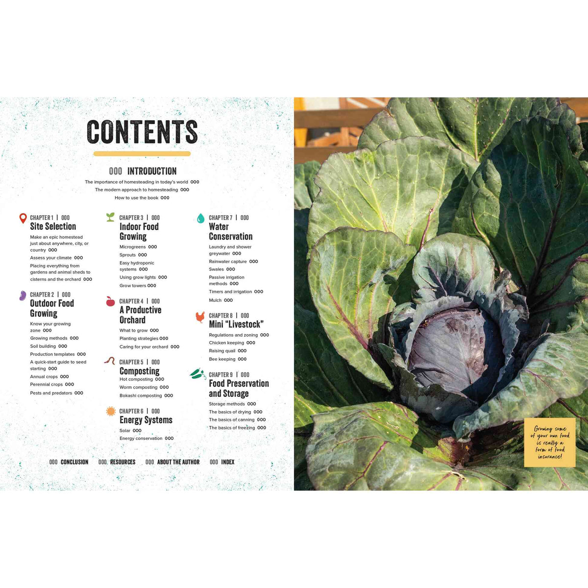 Book spread for "Epic Homesteading" showing a nine-chapter contents page covering site selection, food growing, composting, energy, water conservation, mini livestock and preservation, opposite a close-up photo of a large veined cabbage head with a quote box reading that growing your own food is a form of food insurance.