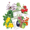 Collection of seed packets included in the Coastal California Seed Bundle with illustrations of vegetables and flowers on a white background