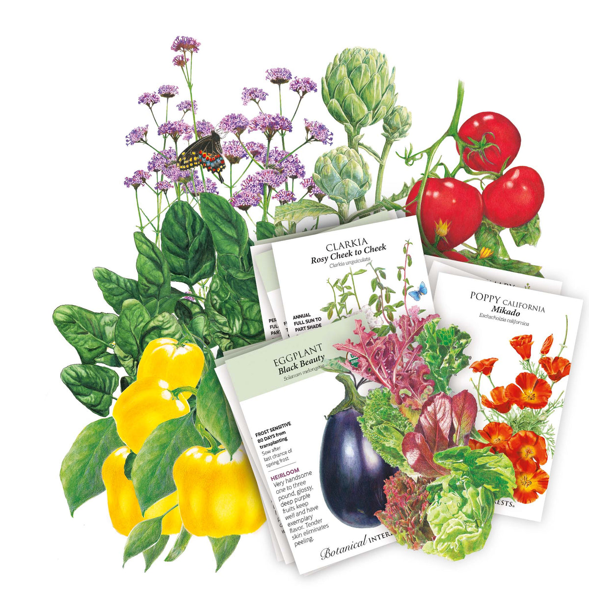 Collection of seed packets included in the Coastal California Seed Bundle with illustrations of vegetables and flowers on a white background