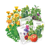 Container Collection seed bundle showing overlapping illustrated packets for bean, pansy, and cucumber varieties, fanned in front of botanical artwork of marigolds, cucumbers, eggplant, and bell peppers.
