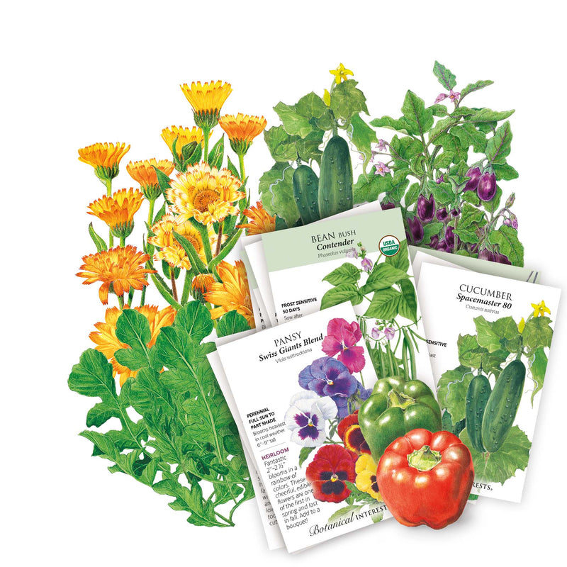 Container Collection seed bundle showing overlapping illustrated packets for bean, pansy, and cucumber varieties, fanned in front of botanical artwork of marigolds, cucumbers, eggplant, and bell peppers.