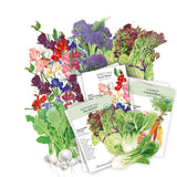 Collection of vegetable seed packets included in the Cool Season Garden Seed Bundle with illustrations on a white background