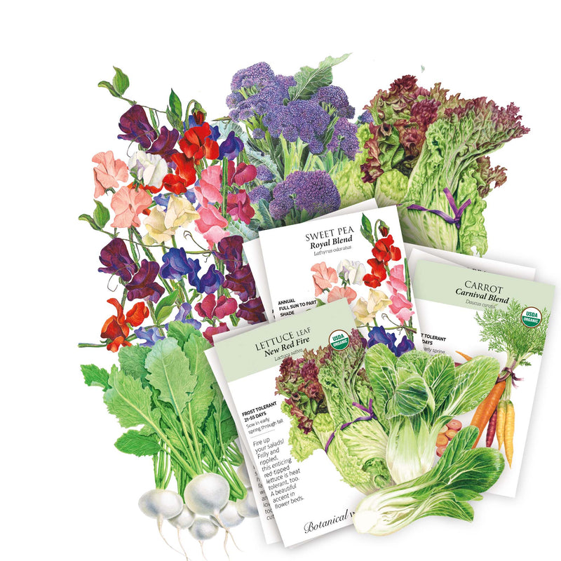 Collection of vegetable seed packets included in the Cool Season Garden Seed Bundle with illustrations on a white background