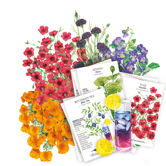 A styled flat-lay of several printed tea or beverage recipe cards and packets arranged with illustrated flowers on a white background. Visible text includes 'BUTTERFLY PEA', 'ZINNIA', and 'FLAX'.