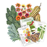 Collection of seed packets included in the Desert West Seed Bundle with vegetables, flowers, and a butterfly illustration on a white background.