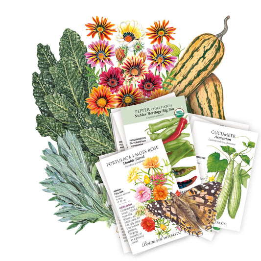 Collection of seed packets included in the Desert West Seed Bundle with vegetables, flowers, and a butterfly illustration on a white background.