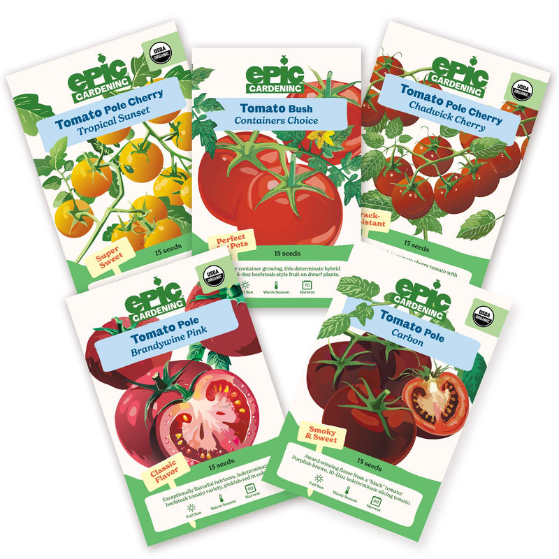 Five Epic Gardening tomato seed packets from the Tomato Lovers Bundle arranged in a fan shape on a plain white background, including Tropical Sunset, Containers Choice, Chadwick Cherry, Brandywine Pink, and Carbon.