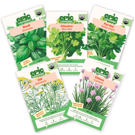 Five Epic Gardening organic herb seed packets arranged in a fan shape on a plain white background, including Genovese Basil, Slow Bolt Cilantro, Italian Giant Parsley, Mammoth Dill, and Common Chives.