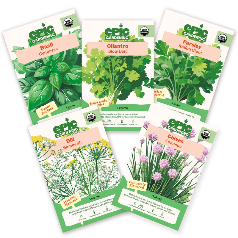 Five Epic Gardening organic herb seed packets arranged in a fan shape on a plain white background, including Genovese Basil, Slow Bolt Cilantro, Italian Giant Parsley, Mammoth Dill, and Common Chives.