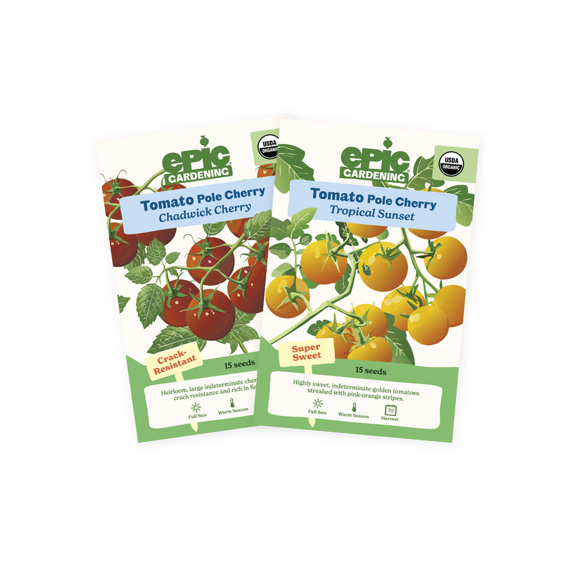 Two Epic Gardening seed packets from the Cherry Tomato 2-Pack arranged side-by-side on a plain white background, featuring Chadwick Cherry and Tropical Sunset cherry tomato varieties.