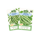 Two Epic Gardening seed packets from the Bean 2-Pack arranged side-by-side on a plain white background, featuring Cantare bush beans and Blue Lake FM-1K organic pole beans.