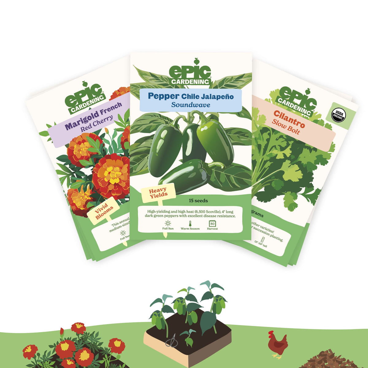 Three seed packet cards from Epic Gardening are fanned out against a white background, with illustrated garden plants, flowers, and a chicken along the bottom. The packets show varieties: Marigold French Red Cherry, Pepper Chile Jalapeño Soundwave, and Cilantro Spice Bolt.