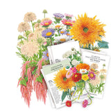Cut flower garden seed bundle showing illustrated blooms including double sunflowers, scabiosa pincushion flowers, asters and trailing amaranthus arranged above three seed packets labelled Sunflower Goldy Honey Bear, an unnamed white-flowered variety, and Scabiosa Pincushion Flower Fata Morgana, each printed with growing details like sun needs and bloom season.