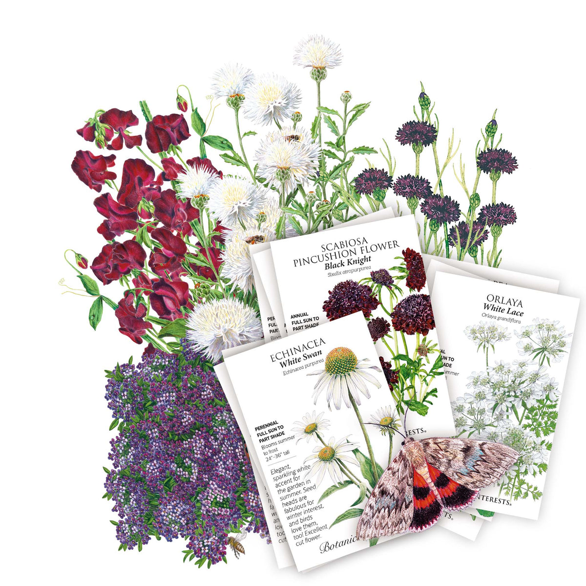 Set of seed packets included in The Goth Garden Bundle with illustrations of flowers and a butterfly on a white background