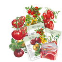 Tomato seeds packets with illustrations of tomatoes and packaging on a white background